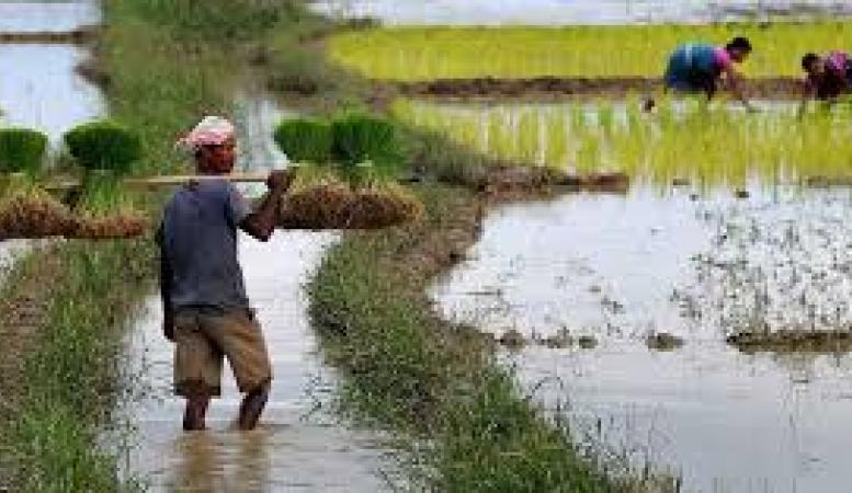 প্ৰতিকী ফটো,উৎস ইন্টাৰনেট