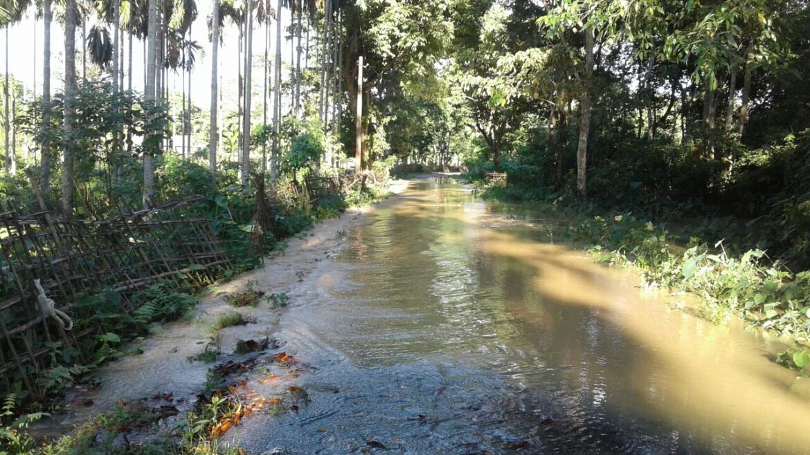 ce17c134-20e8-4d9f-9570-589eda83d434