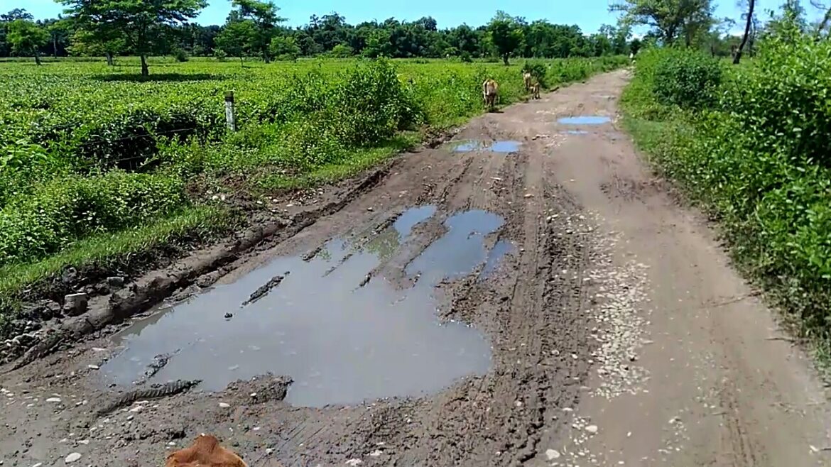 e7f1233b-52d3-4652-b317-31d174d2d38d