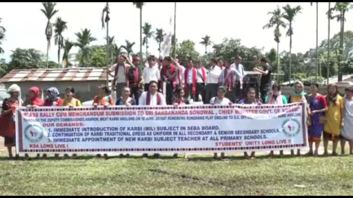 0c968e2a-9374-43aa-ae90-9b3378d68610