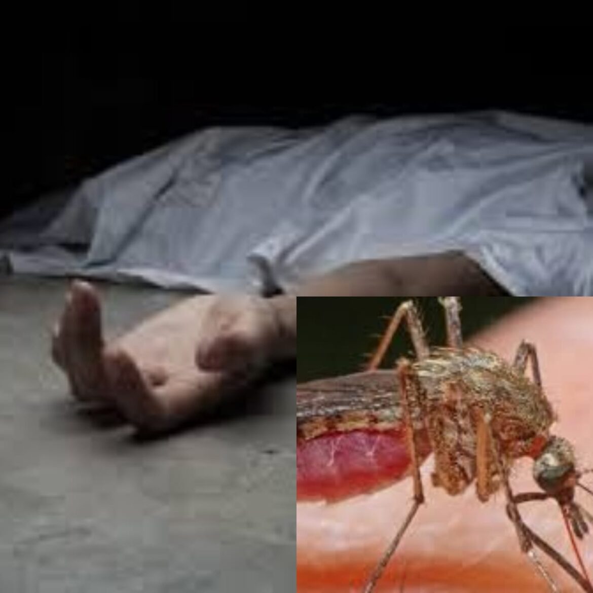 21727884-27bf-46bf-947b-41ac69f9b85c