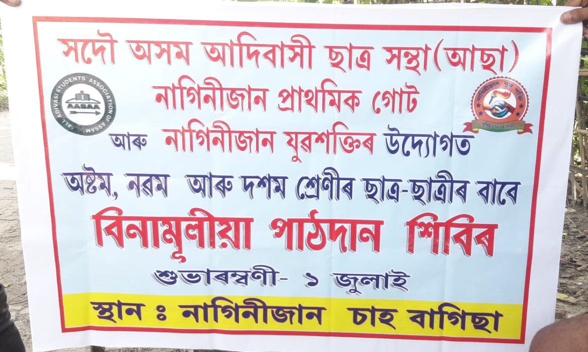 31fabd84-6b55-4c4a-a365-1c86ce5c9b3e