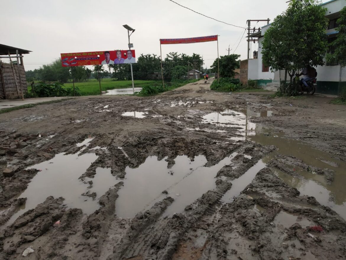 3b19d93b-ff82-483d-a688-cdd0c5b838e1