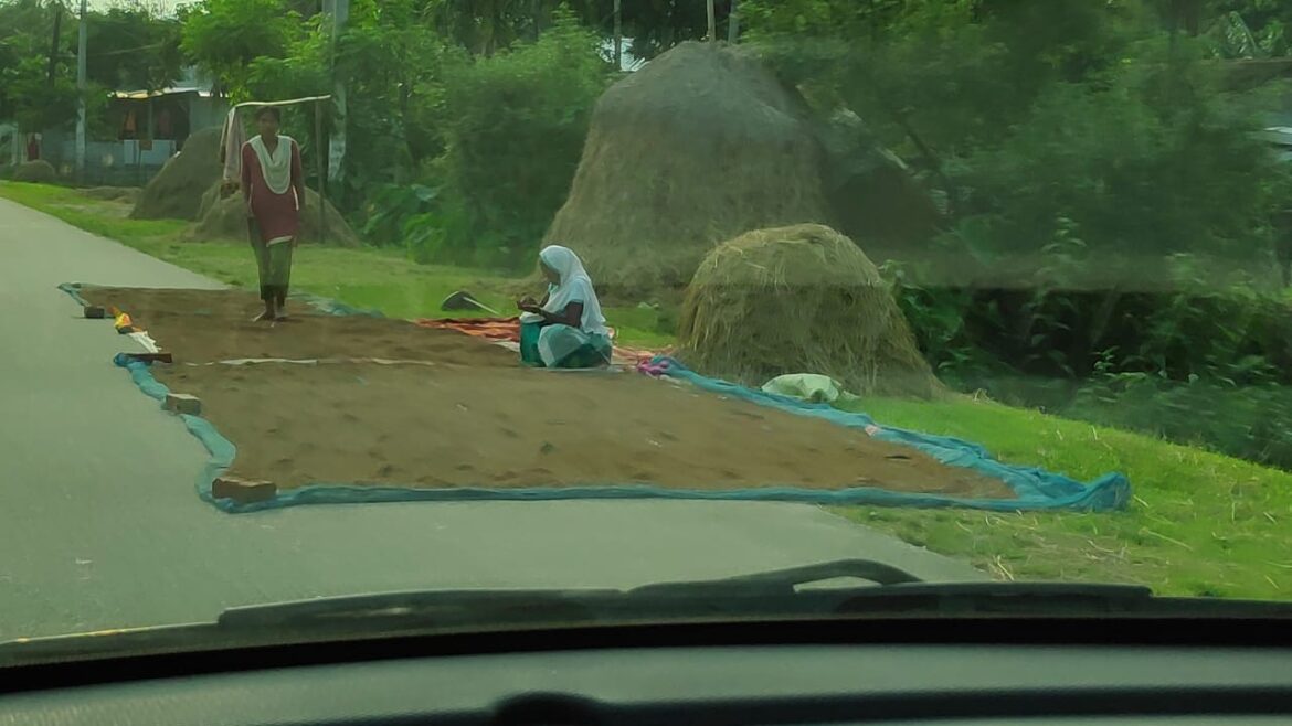 48dd6d7c-b38c-4b64-a075-941dd1f57ccc