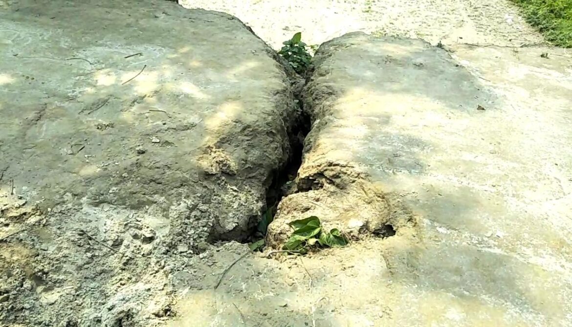 506fba17-e9bc-49a0-8cc4-cf294e11c187