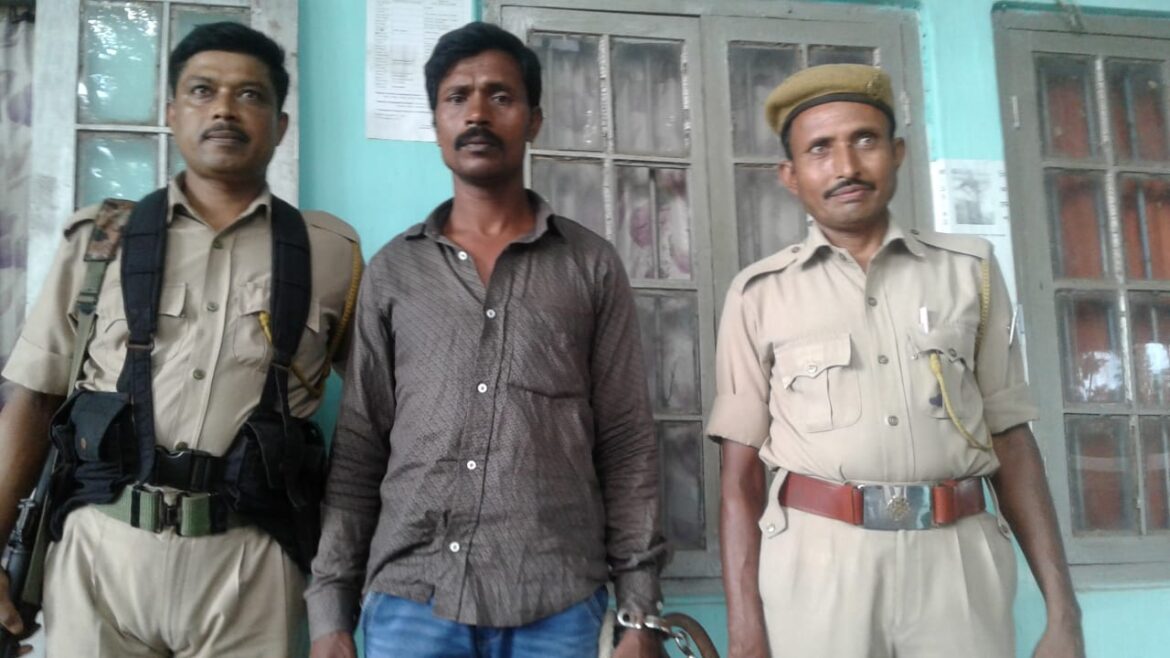 53cf9241-1a6a-43cd-92ee-0007c58f1caa