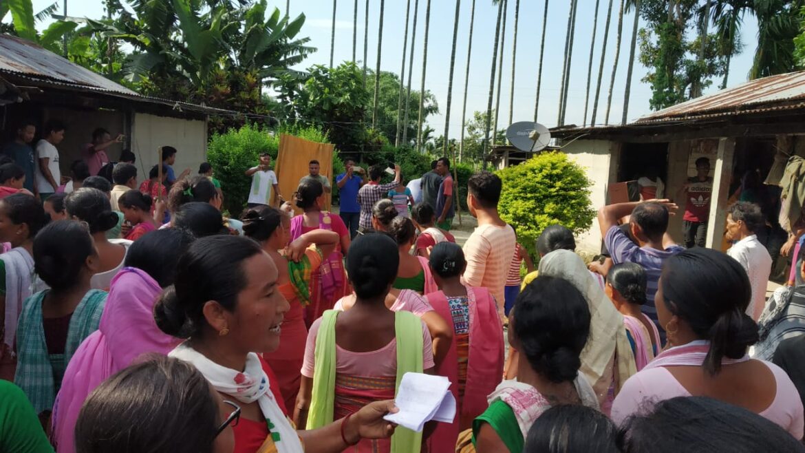 5978b257-8020-4502-9711-7166ea8bafa9