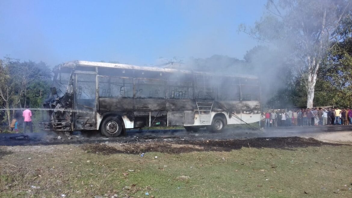 85cc7bf8-e373-45e9-8202-a78890f56bb8