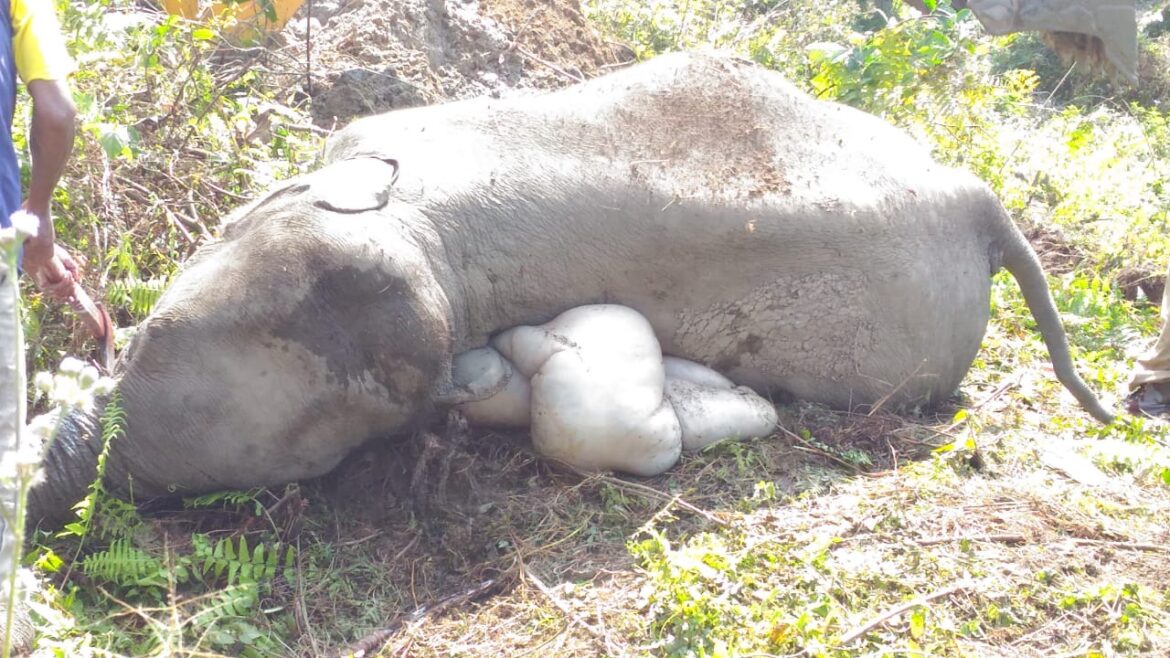 94aa6bd2-0616-4008-9647-5b2e7618ea2b