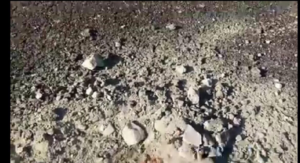 b6a43087-53d4-429f-895a-fdbbba4f725a