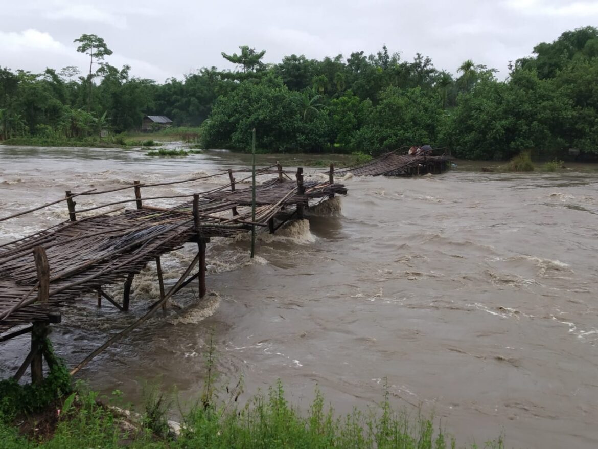 cd5a37c8-9e7d-4adb-82fa-ef2ca0b91bff