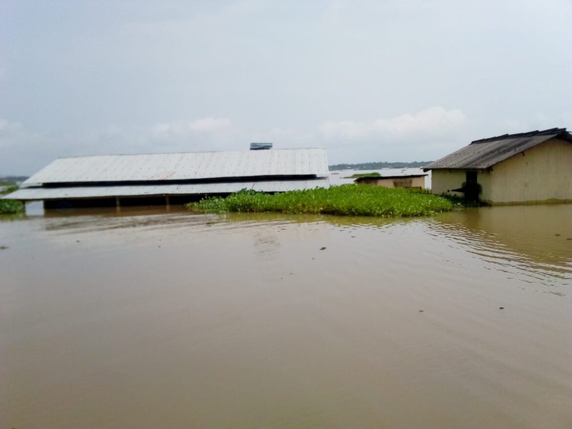 dc582f01-a28b-467d-b784-675281b522d2