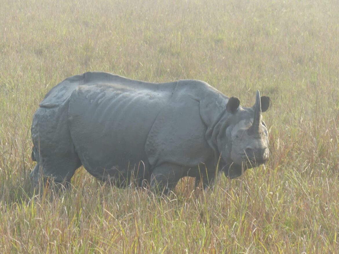 de903231-f0fc-4430-ac1e-aa09970f15af