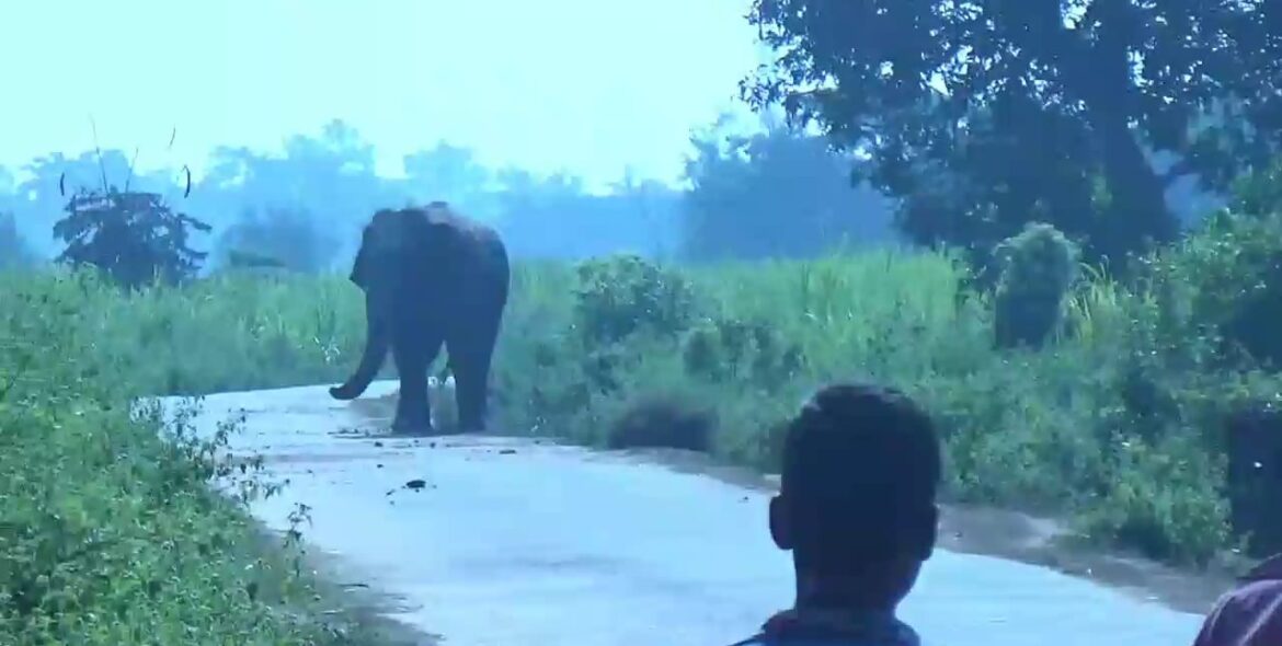 f2f40231-2e9b-4db4-bf9b-60d23e98f48d