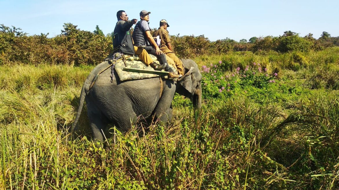 fec83fb3-dd98-486a-8884-bbb7d4db1ac0